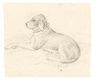 Carl Philipp Fohr - Sein Hund Grimsel Verso Pferdestudie