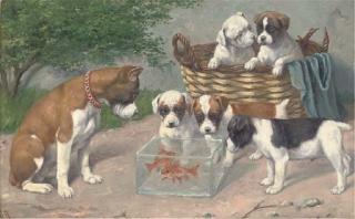 Carl Reichert - A curious distraction