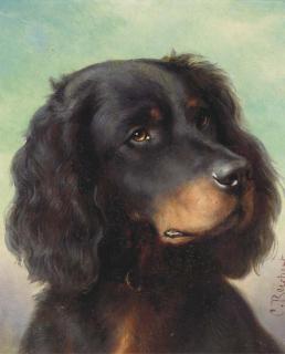Carl Reichert - A Gordon Setter