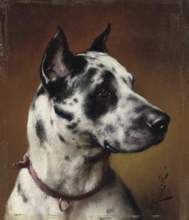 Carl Reichert - A Great Dane