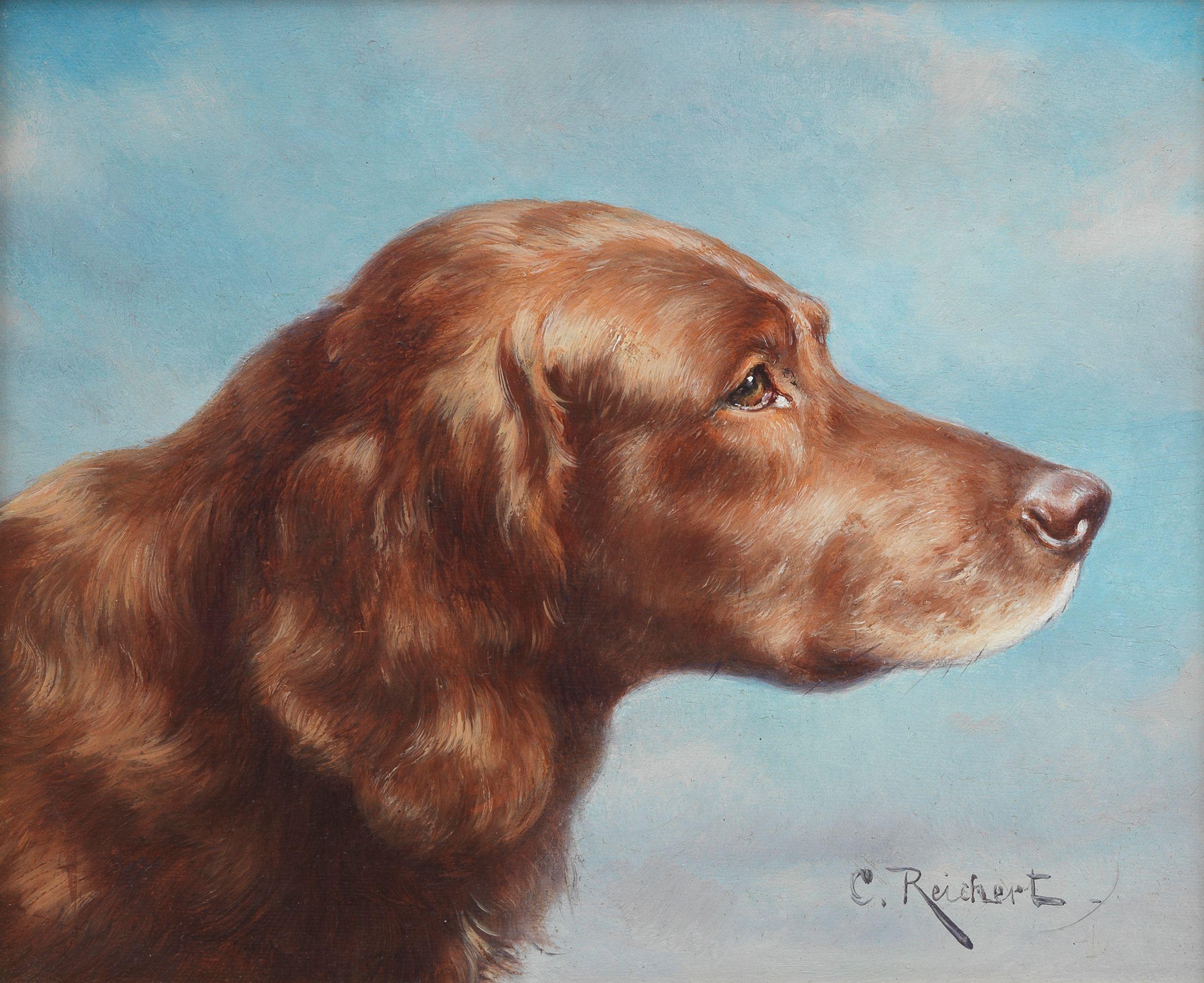 Carl Reichert - An Irish Setter in profile