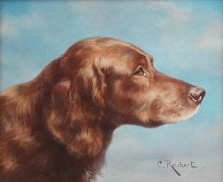Carl Reichert - An Irish Setter in profile