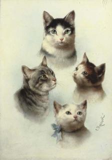 Carl Reichert - Cute cats