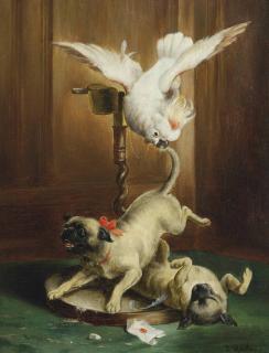 Carl Reichert - Pug pandemonium