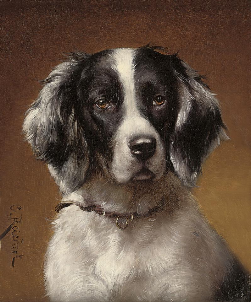 Carl Reichert - Study of a spaniel