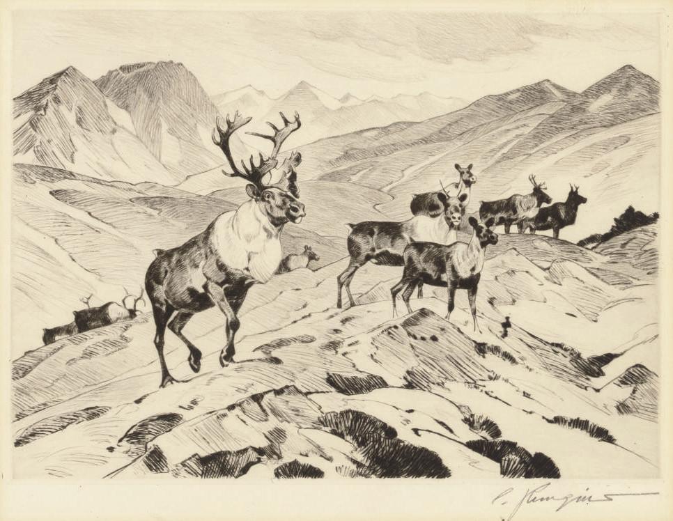 Carl Rungius - Above the Timberline