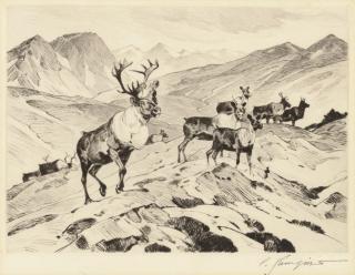 Carl Rungius - Above the Timberline