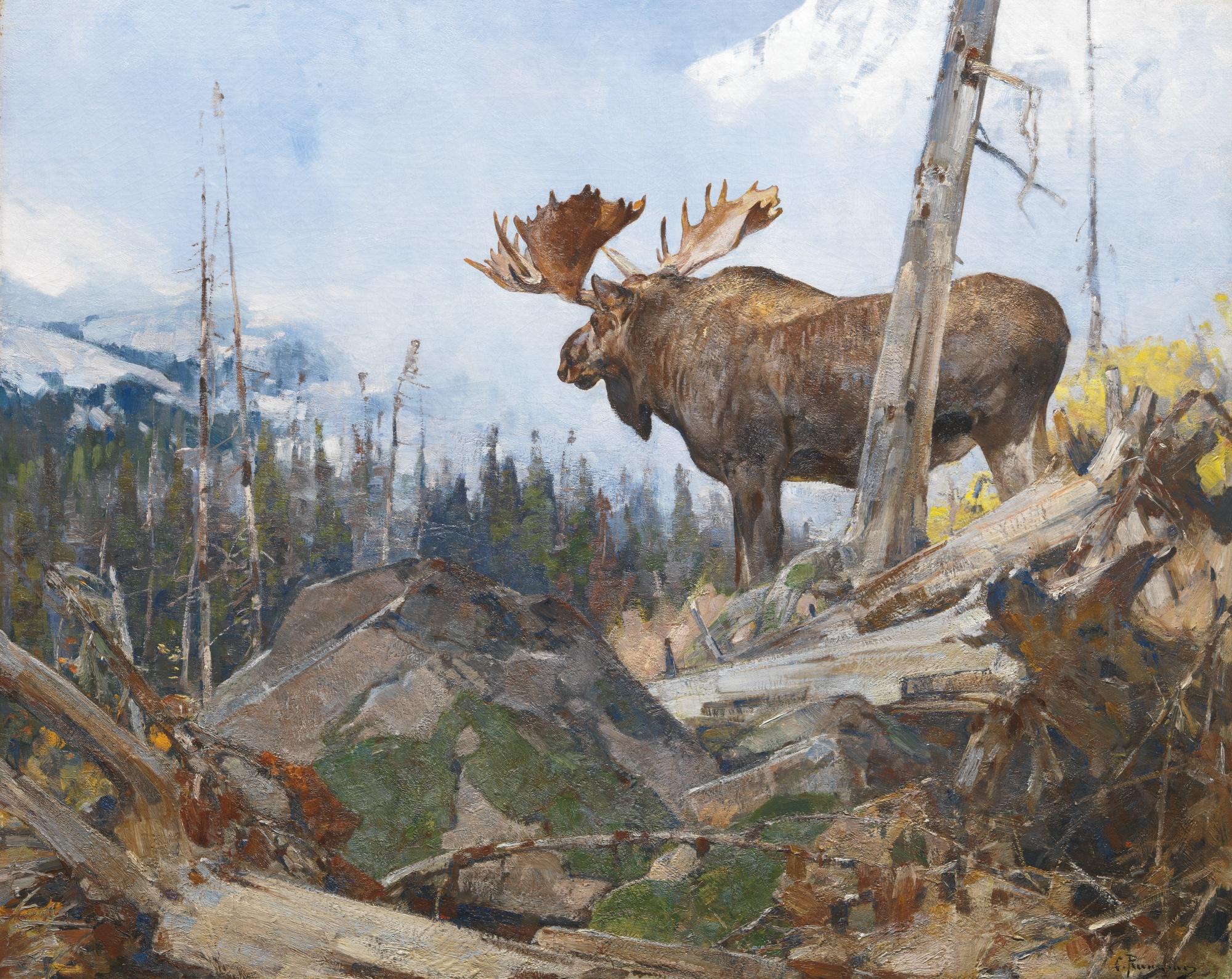Carl Rungius - Alaskan Wilderness
