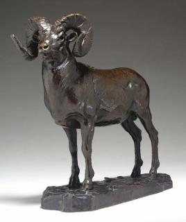 Carl Rungius - \'Big-Horn Sheep\'