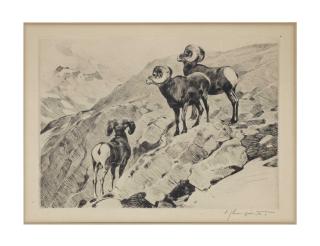 Carl Rungius - Cliff Dwellers