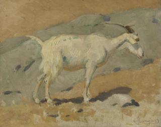Carl Rungius - Goat