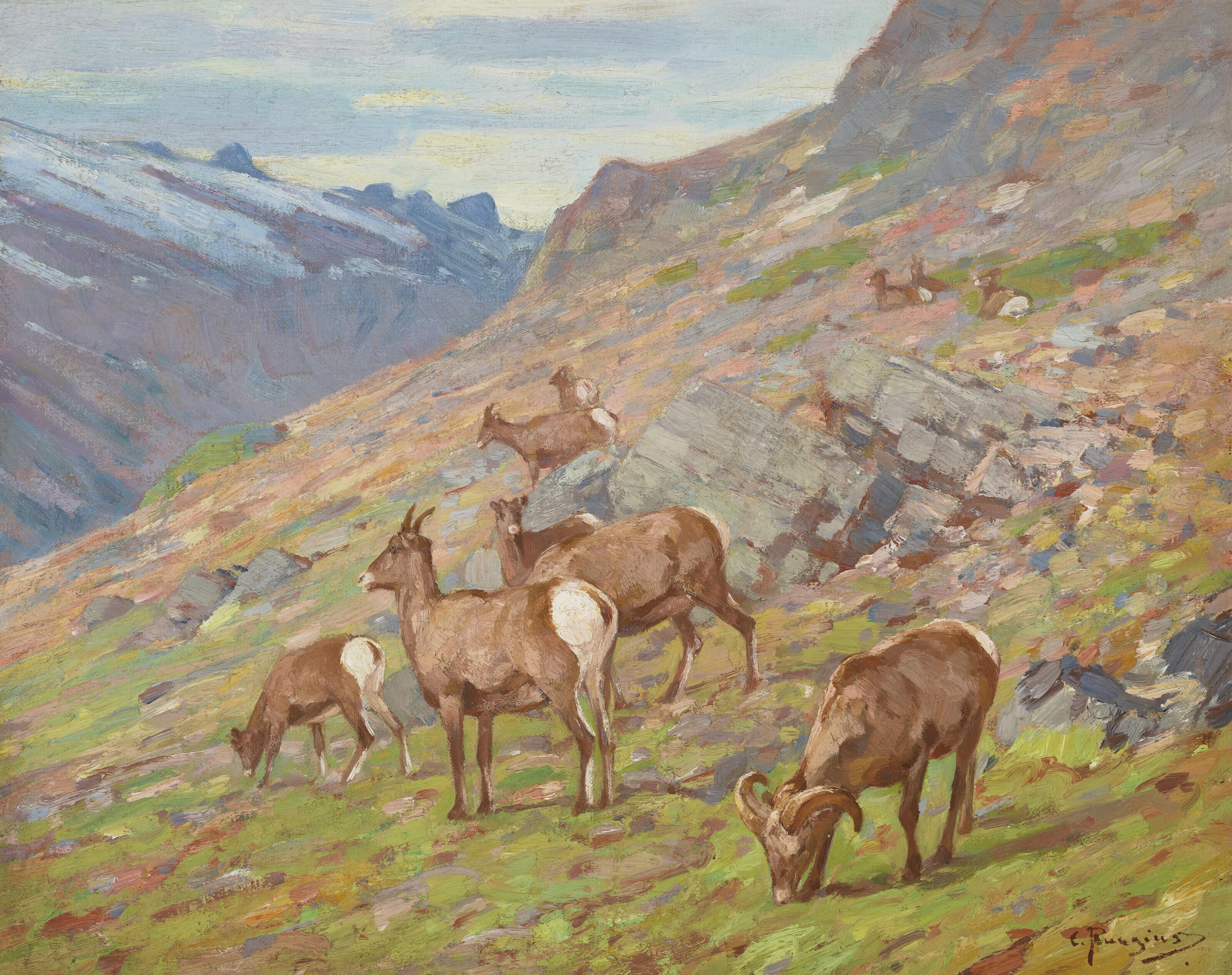 Carl Rungius - In the Open