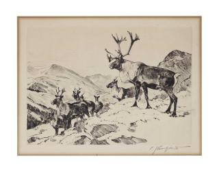 Carl Rungius - Mountain Caribou