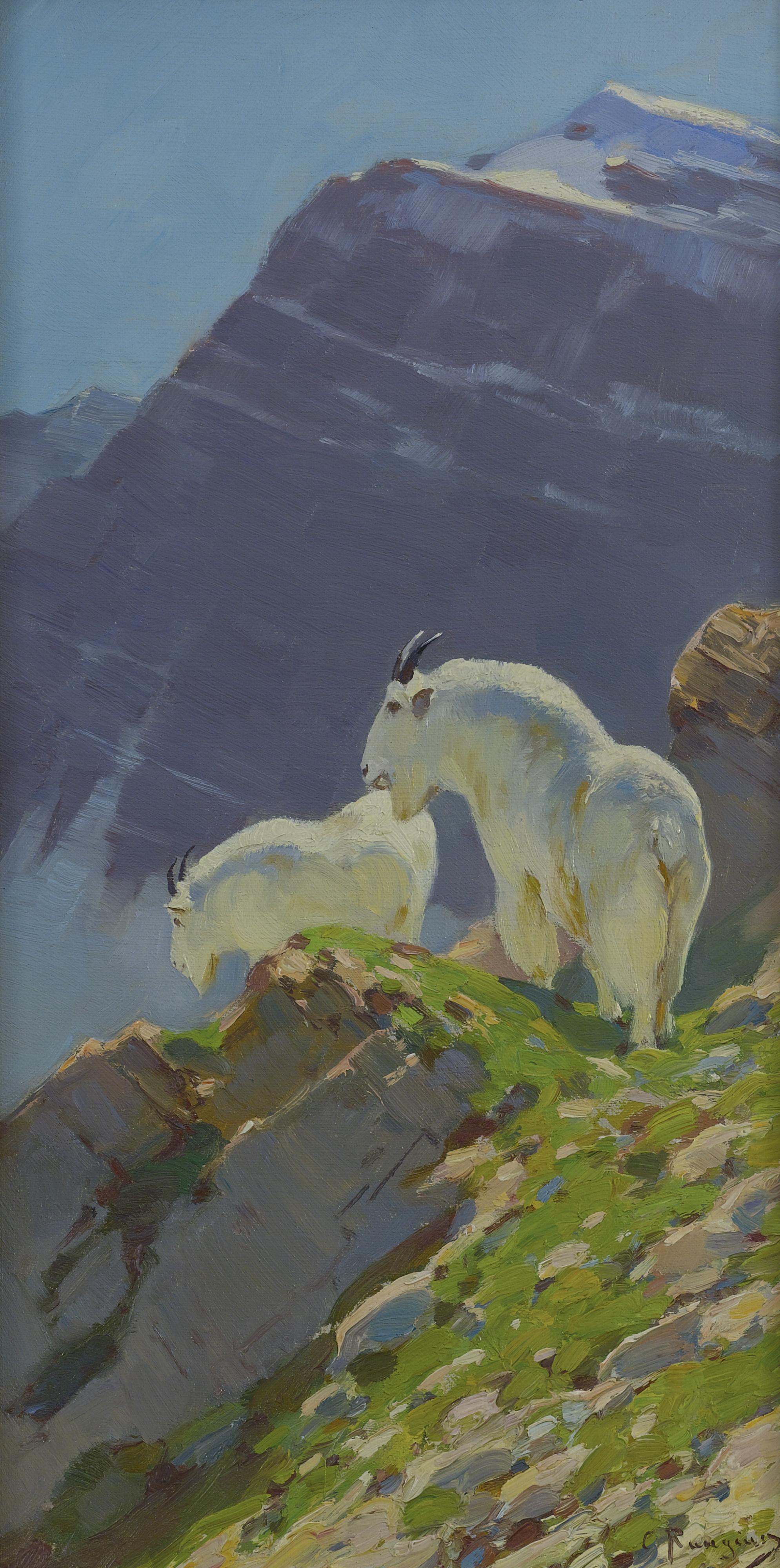 Carl Rungius - Mountain Goats