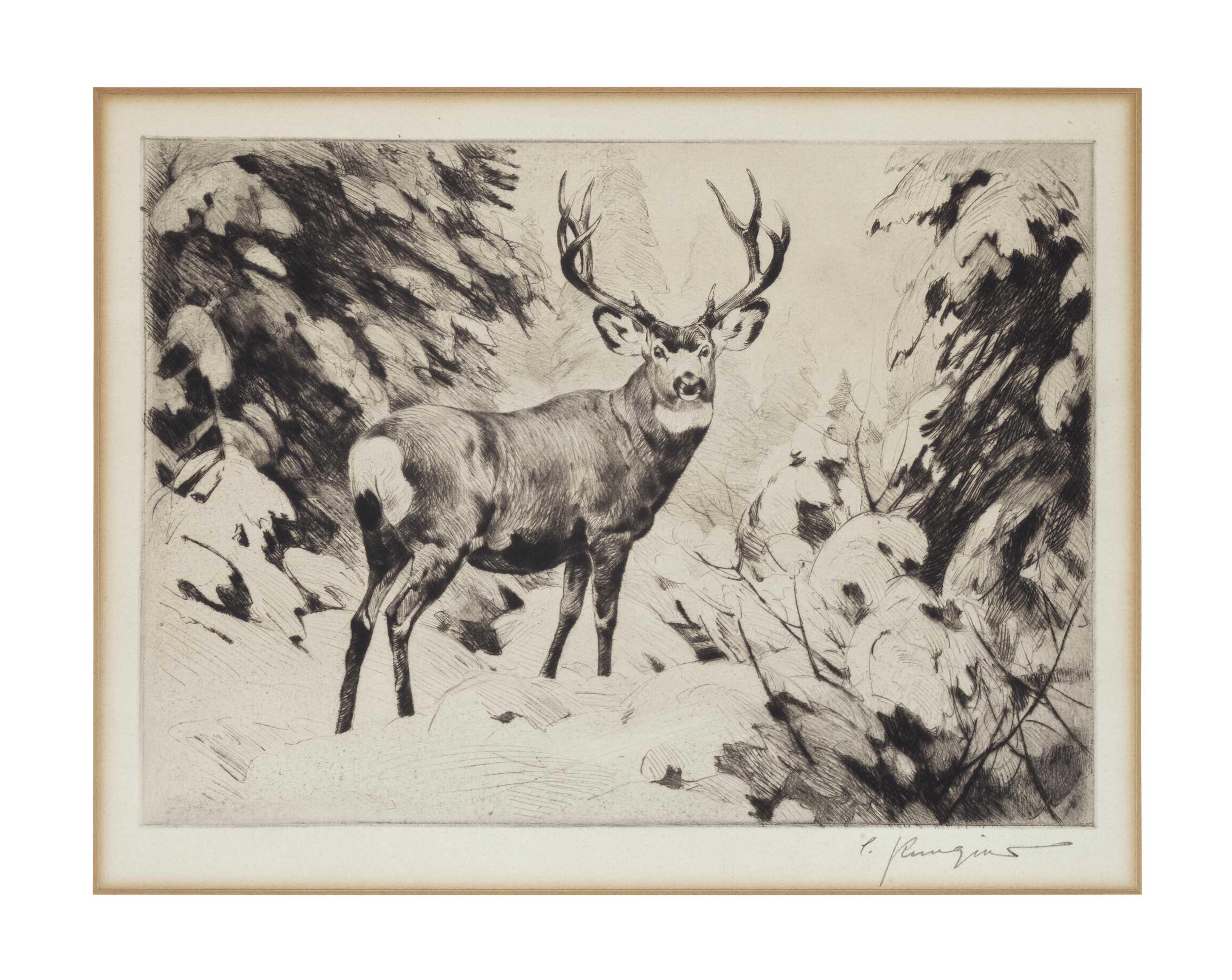 Carl Rungius - Mule Deer