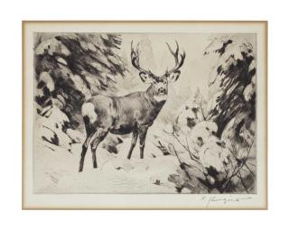 Carl Rungius - Mule Deer