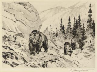 Carl Rungius - Out of the Canyon