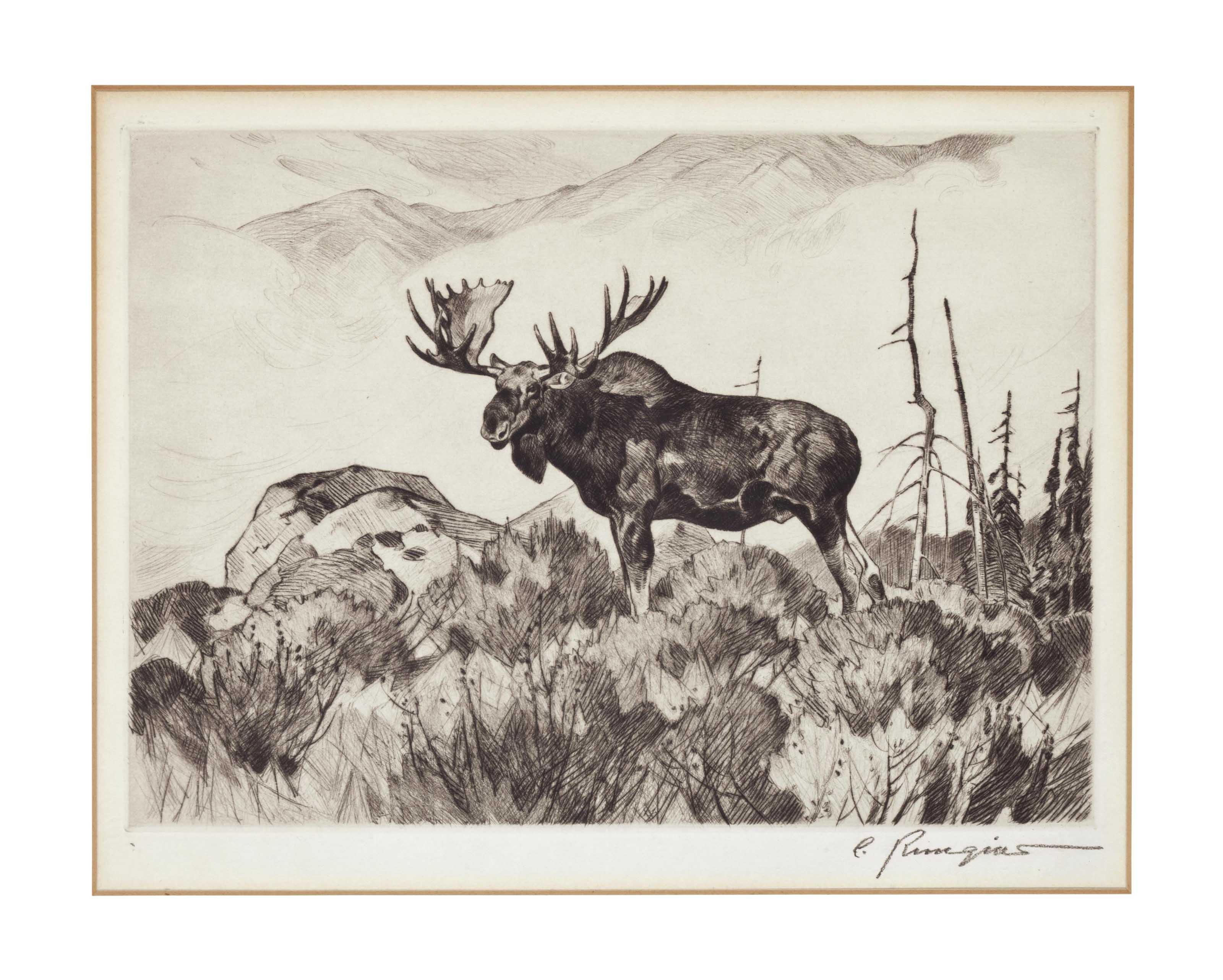 Carl Rungius - The Wanderer