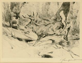 Carl Rungius - White Flag