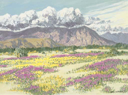 Carl Sammons - Desert Wild Flowers, Palm Springs