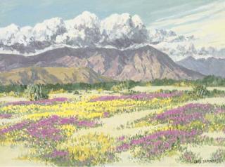 Carl Sammons - Desert Wild Flowers, Palm Springs
