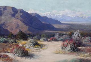 Carl Sammons - Desert Wildflowers 20 x 29 in. framed 26 1/4 x 35 1/4 in.