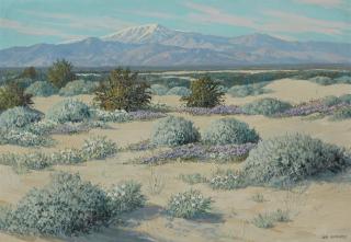 Carl Sammons - Mt. San Gorgonio - Desert, Palm Springs, Calif.