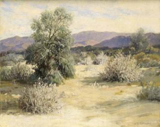 Carl Sammons - Palo Verde Tree and Desert Lavender, Palm Springs