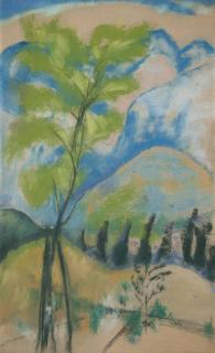 Carl Sprinchorn - Young Acacia, La Cañada, California