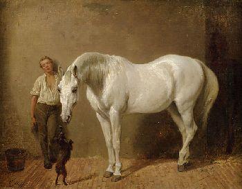 Carl Steffeck - Schimmel