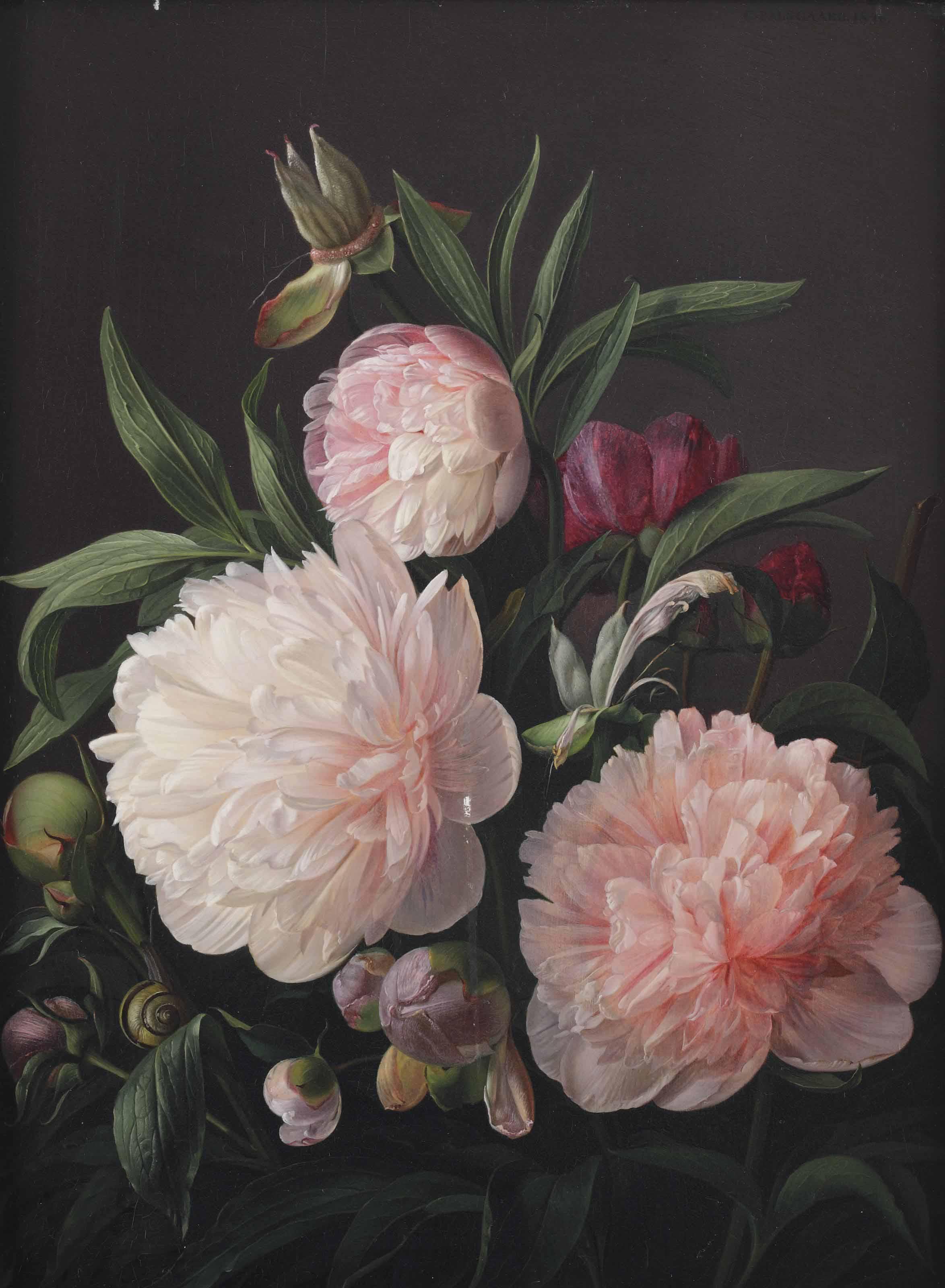 Carl Vilhelm Balsgaard - Blooming peonies