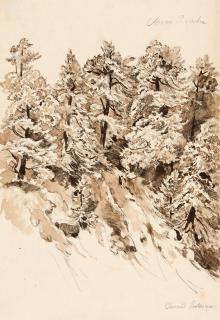 Carl Wagner - Felshang mit Zirbelkiefern bei Pontresina im Oberengadin.