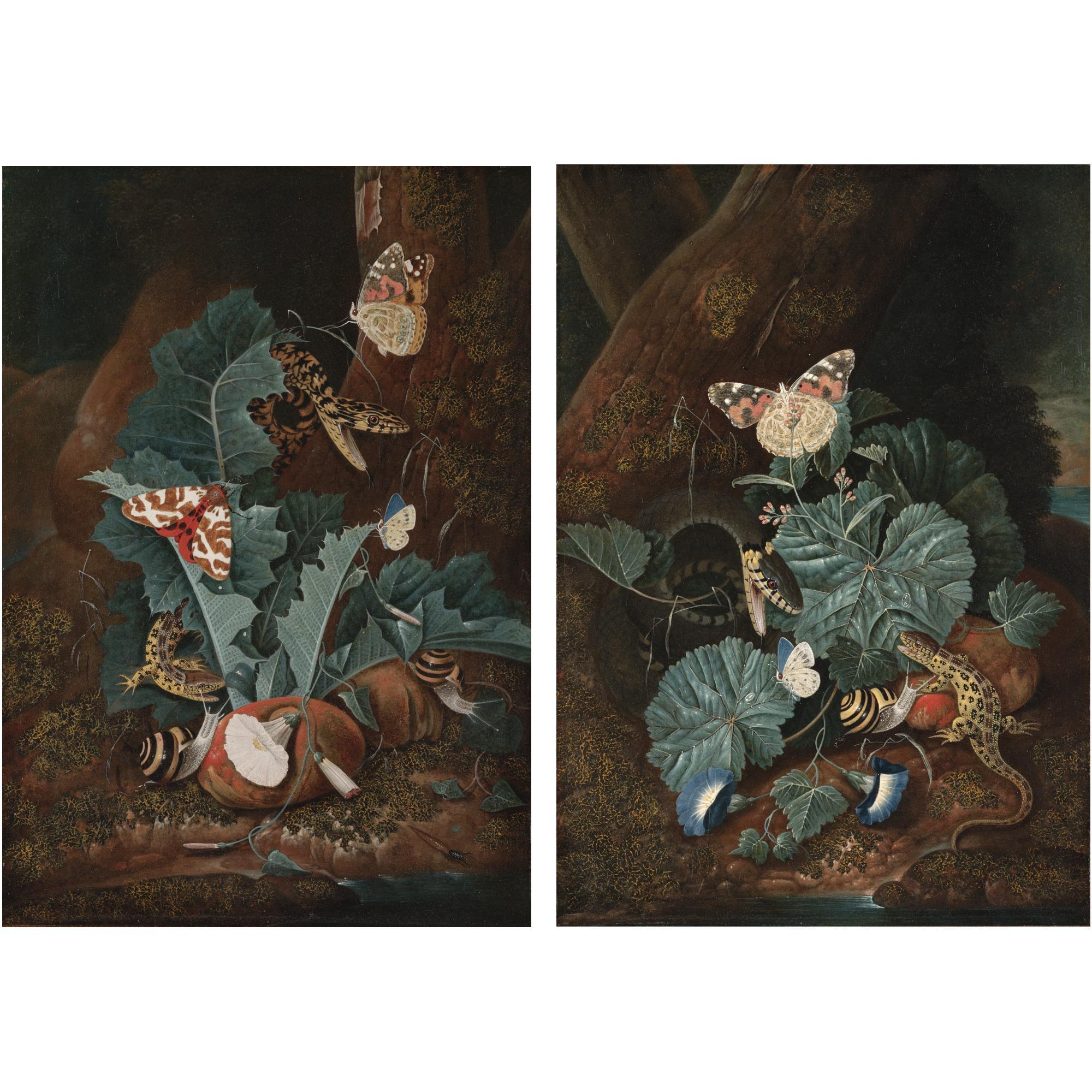 Carl Wilhelm de Hamilton - A Forest Floor With A Lizard, A Painted Lady Butterfly, A Snake, Morning Glory And Fungi; A Forest Floor With A Lizard, A Red Tiger Moth, A Snake, Thistles, Convolvulus And Fungi