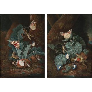 Carl Wilhelm de Hamilton - A Forest Floor With A Lizard, A Painted Lady Butterfly, A Snake, Morning Glory And Fungi; A Forest Floor With A Lizard, A Red Tiger Moth, A Snake, Thistles, Convolvulus And Fungi