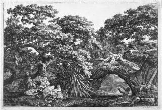 Carl Wilhelm Kolbe d. Ä. - 6 Bll.: Waldige Landschaften – ein Rüde.