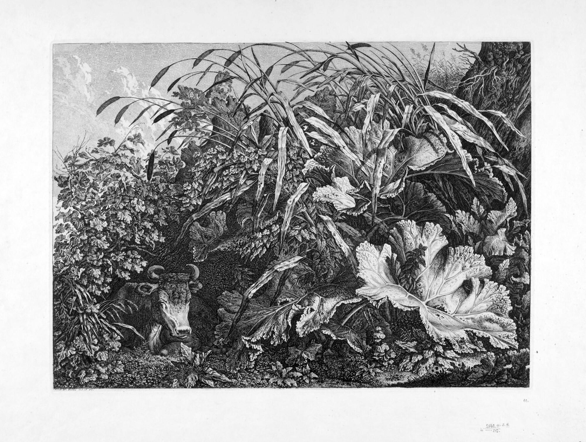 Carl Wilhelm Kolbe d. Ä. - 7 Bll.: Kräuterblätter und Eichenlandschaften mit Mensch- und Tie