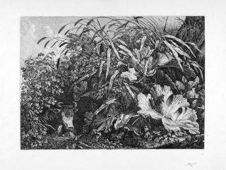 Carl Wilhelm Kolbe d. Ä. - 7 Bll.: Kräuterblätter und Eichenlandschaften mit Mensch- und Tie