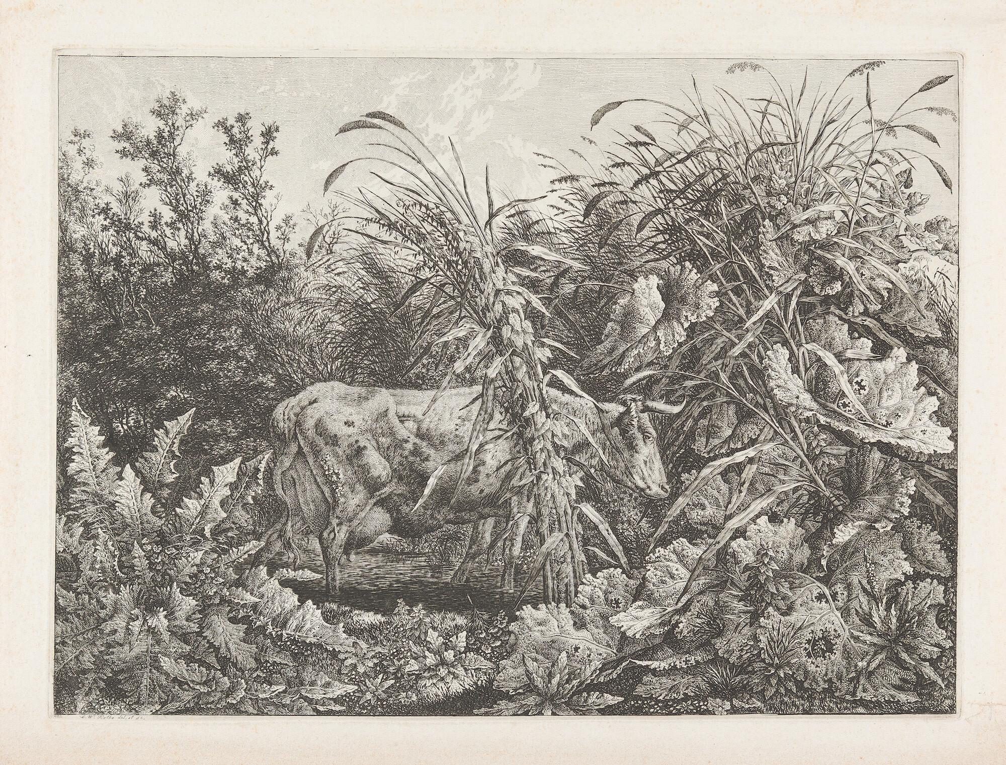 Carl Wilhelm Kolbe d. Ä. - Die Kuh im Sumpfe.