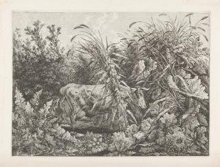 Carl Wilhelm Kolbe d. Ä. - Die Kuh im Sumpfe.