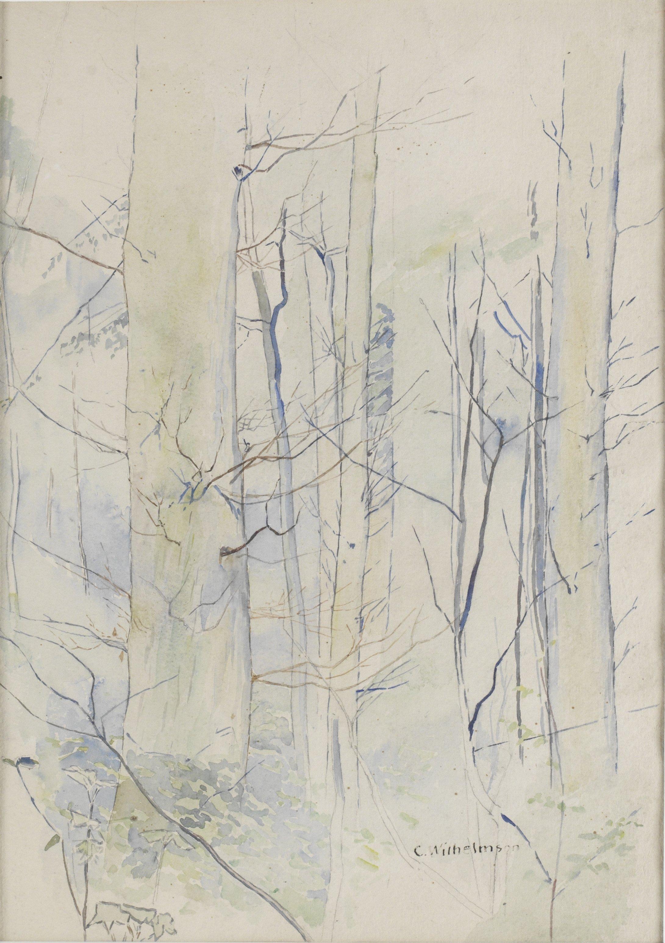 Carl Wilhelmson - Studie av träd. (A tergo molnstudier)