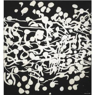 Carla Accardi - Integrazione