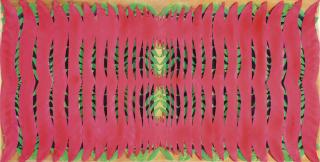 Carla Accardi - Islam