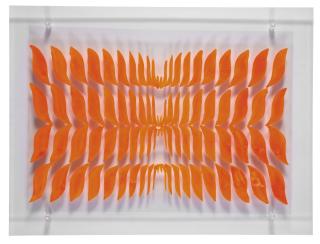 Carla Accardi - Senza titolo