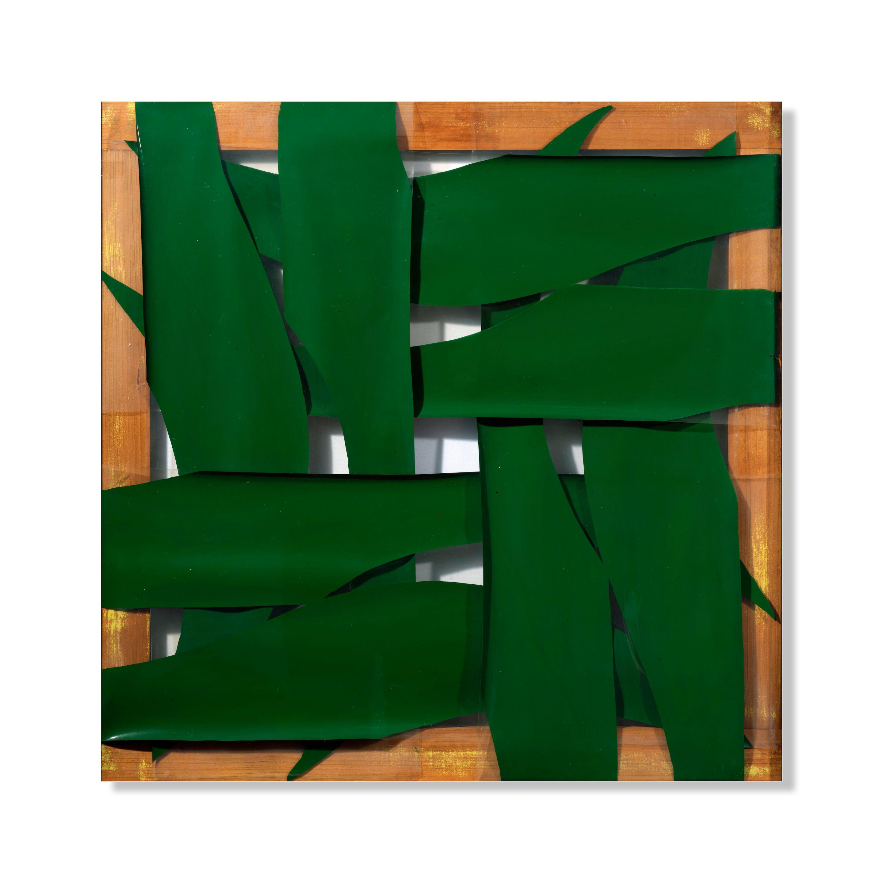 Carla Accardi - Verde