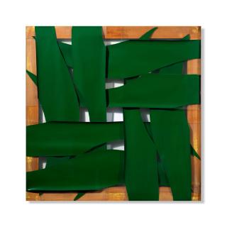 Carla Accardi - Verde