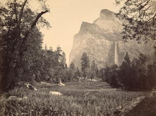 Carleton E. Watkins - Bridalveil Fall in Springtime, Yosemite, 1865-1866