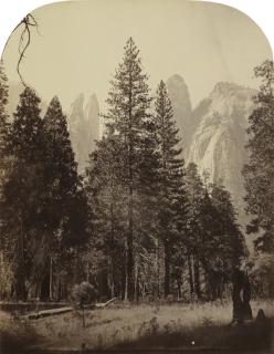 Carleton E. Watkins - \'Cathedral Spires - Yo Semite\'