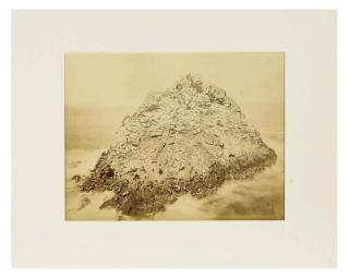 Carleton E. Watkins - Seal Rock, Farallini Island, Pacific Ocean, c. 1880s