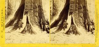 Carleton Eugene Watkins - Verschiedene Motive