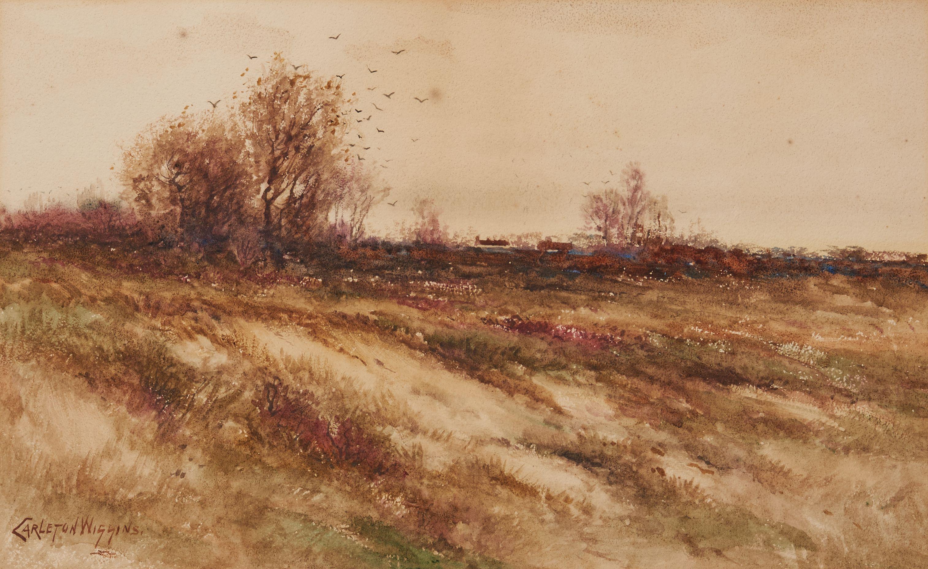 Carleton Wiggins - Autumn Meadow